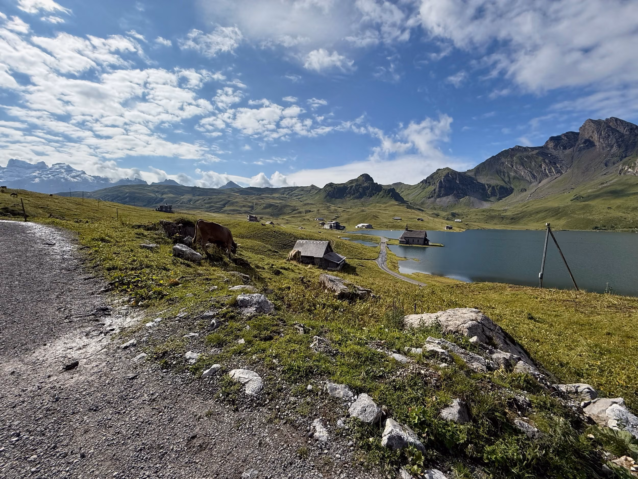 Wanderweg am Bonistock mit weidenden Kühen, unten der Melchsee und die Kapelle