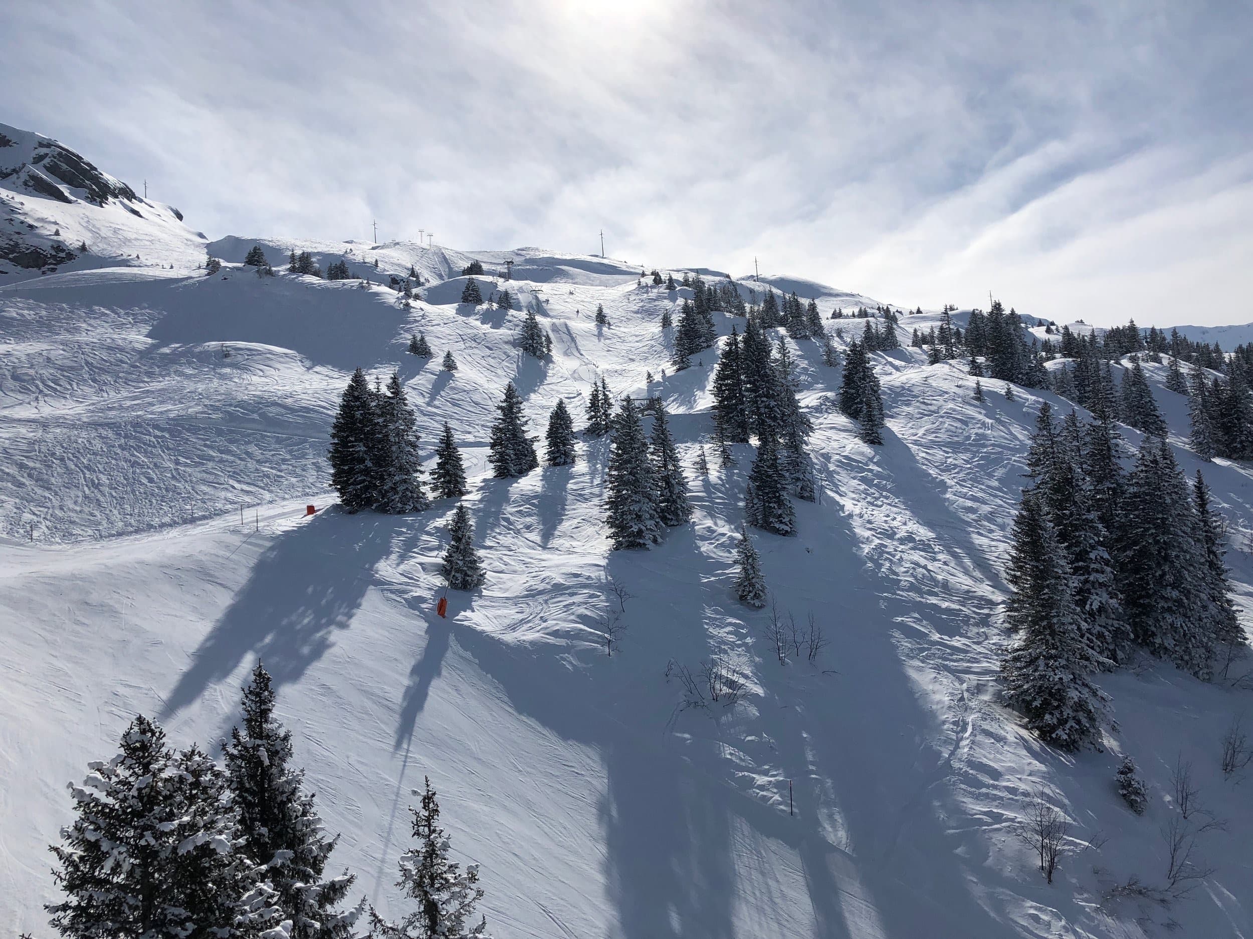 Verschneite Pisten mit Tannen in Richtung Stöckalp